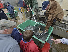 Agrandir l'image, fenêtre modale