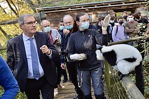 Agrandir l'image, fenêtre modale