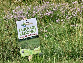 Agrandir l'image, fenêtre modale