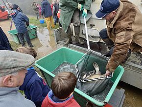 Agrandir l'image, fenêtre modale