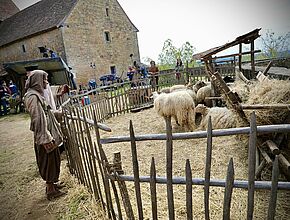 Agrandir l'image, fenêtre modale