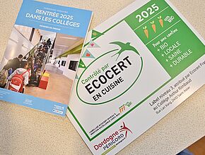 Agrandir l'image, fenêtre modale