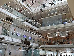 Agrandir l'image, fenêtre modale