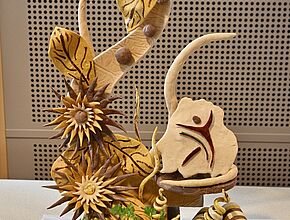 Agrandir l'image, fenêtre modale