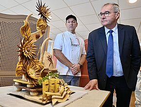 Agrandir l'image, fenêtre modale