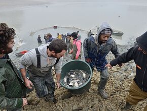 Agrandir l'image, fenêtre modale