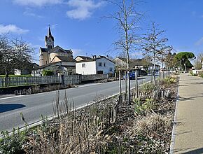 Agrandir l'image, fenêtre modale