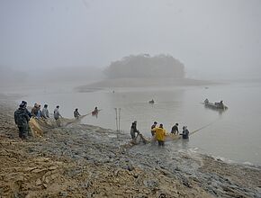 Agrandir l'image, fenêtre modale