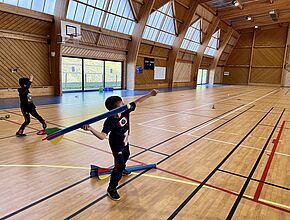 Agrandir l'image, fenêtre modale