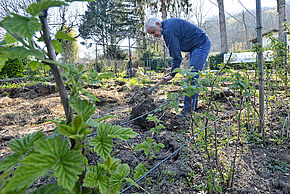 Un jardinier travaille le sol dans son jardin - Agrandir l'image, fenêtre modale
