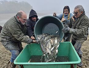 Agrandir l'image, fenêtre modale