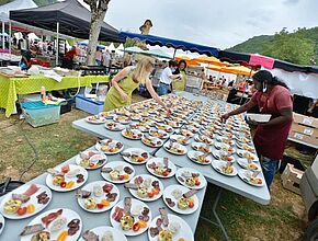 Agrandir l'image, fenêtre modale