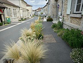 Agrandir l'image, fenêtre modale