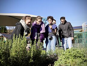 Agrandir l'image, fenêtre modale
