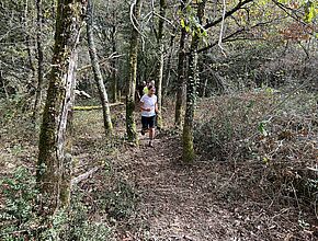 Agrandir l'image, fenêtre modale