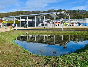 Agrandir l'image, fenêtre modale