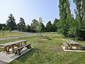 Agrandir l'image, fenêtre modale