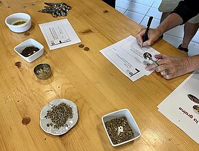 Agrandir l'image, fenêtre modale