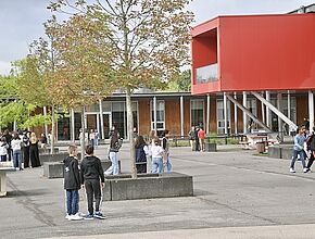 Agrandir l'image, fenêtre modale