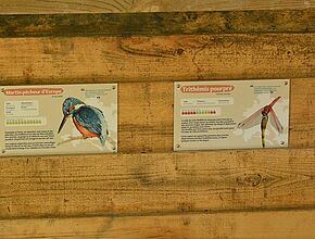 Agrandir l'image, fenêtre modale